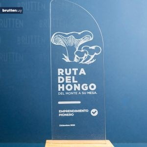 Reconocimiento acrílico base madera