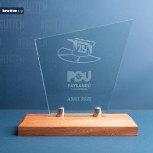 Reconocimiento vidrio con madera