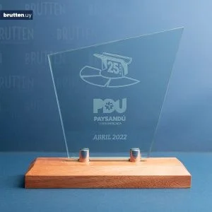 Reconocimiento vidrio con madera