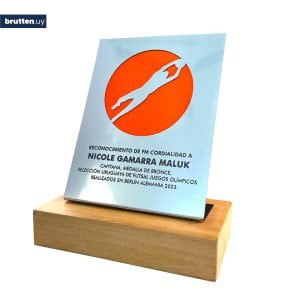Reconocimiento futsal
