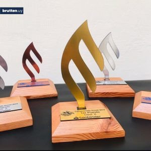 Reconocimiento regata