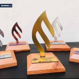 Reconocimiento regata